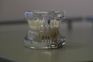 dentistry-668214_1280